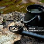 Lorem ipsum 1